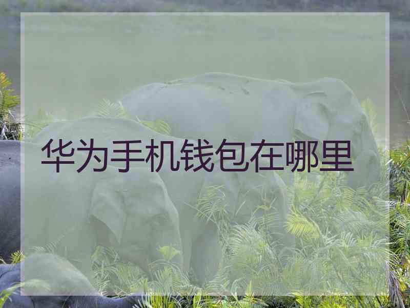 华为手机钱包在哪里 华为手机钱包在哪里