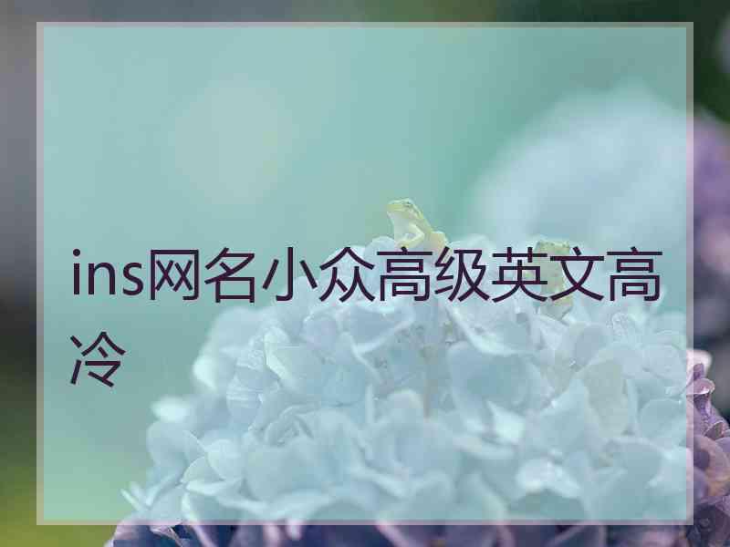 ins网名小众高级英文高冷 ins网名小众高级英文高冷