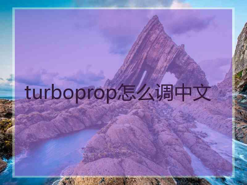 turboprop怎么调中文 turboprop怎么调中文