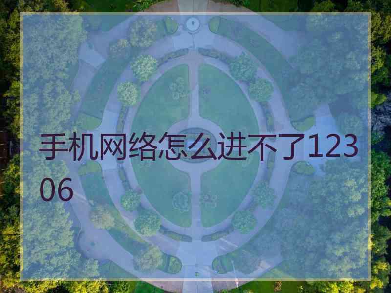 手机网络怎么进不了12306 手机网络怎么进不了12306