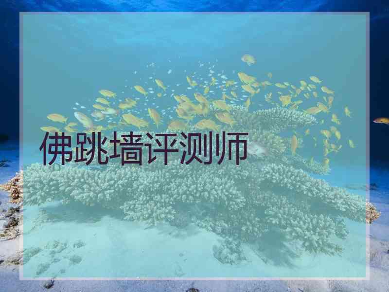 佛跳墙评测师 佛跳墙评测师