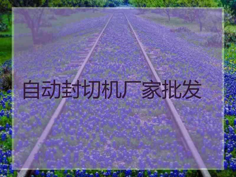 自动封切机厂家批发 自动封切机厂家批发