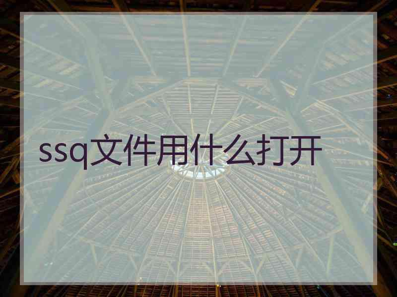 ssq文件用什么打开 ssq文件用什么打开