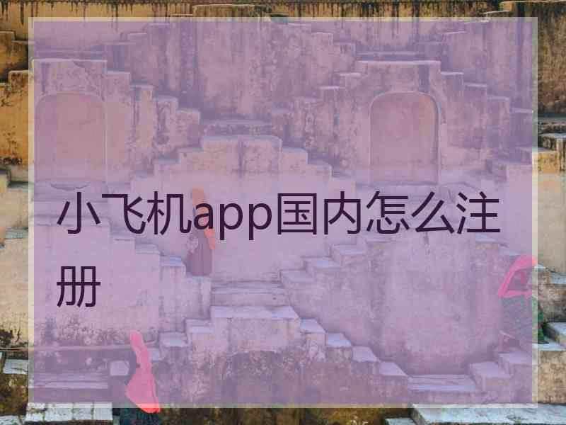 小飞机app国内怎么注册 小飞机app国内怎么注册