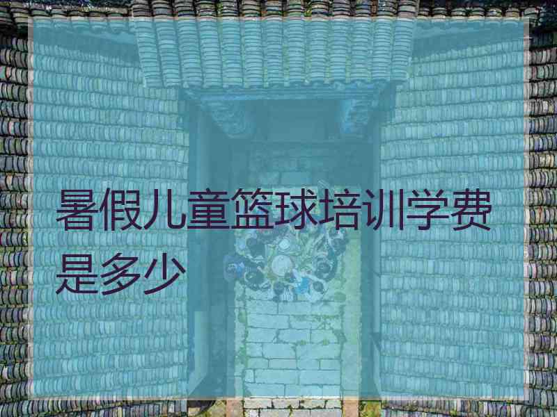 暑假儿童篮球培训学费是多少 暑假儿童篮球培训学费是多少