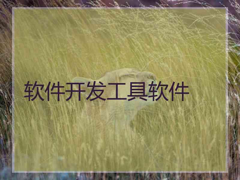 软件开发工具软件 软件开发工具软件