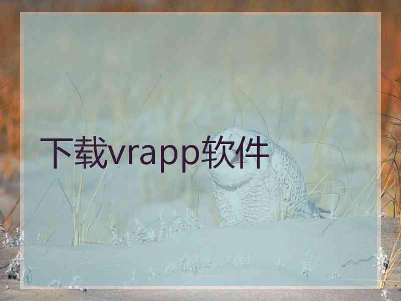 下载vrapp软件 下载vrapp软件