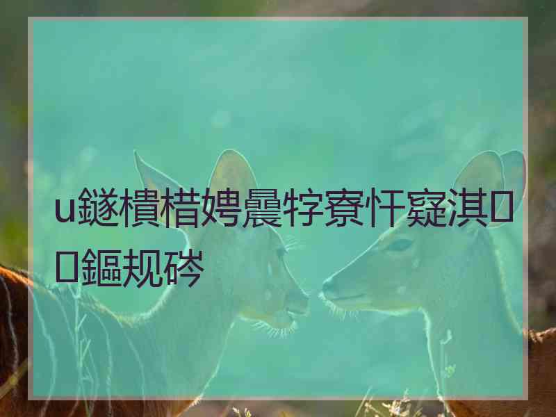 u鐩樻棤娉曟牸寮忓寲淇鏂规硶 u鐩樻棤娉曟牸寮忓寲淇鏂规硶