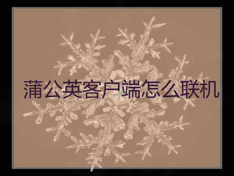 蒲公英客户端怎么联机 蒲公英客户端怎么联机