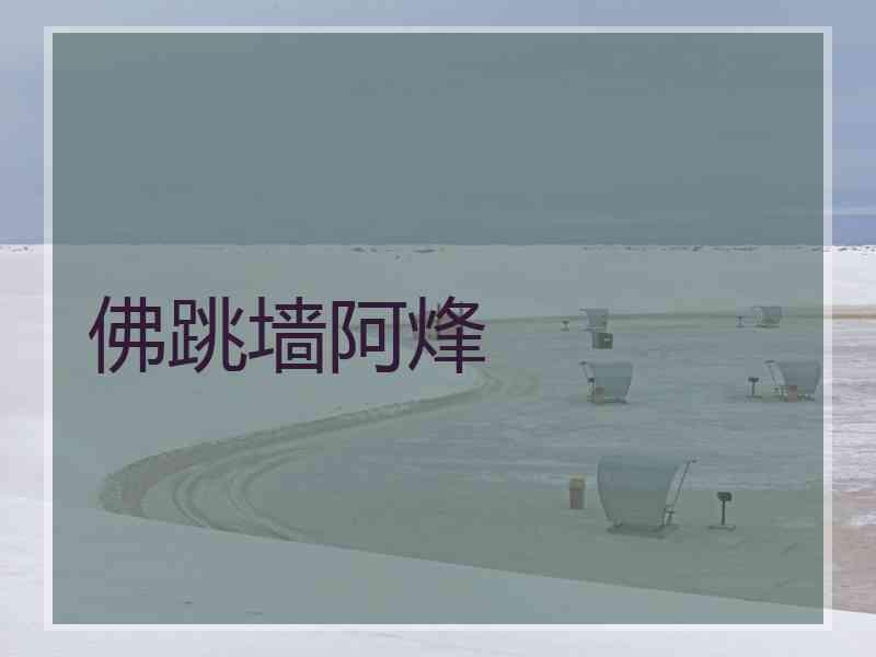 佛跳墙阿烽 佛跳墙阿烽