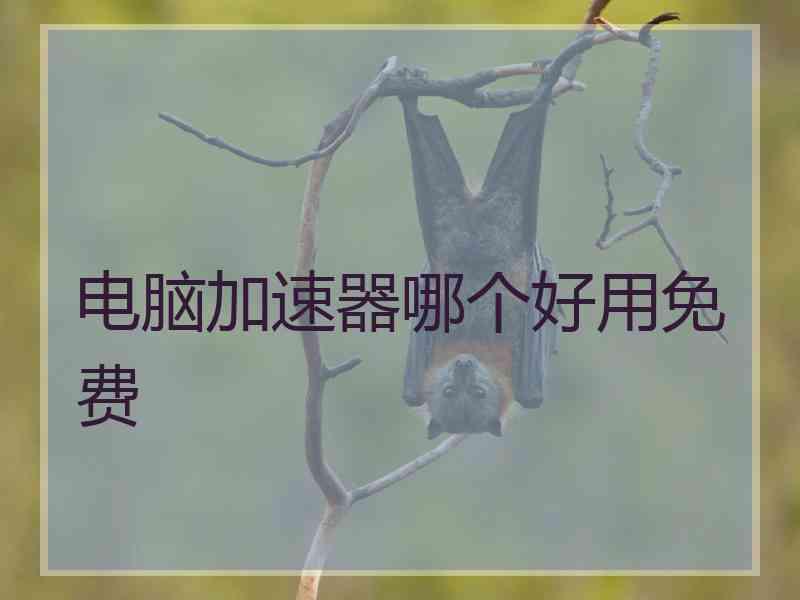 电脑加速器哪个好用免费 电脑加速器哪个好用免费