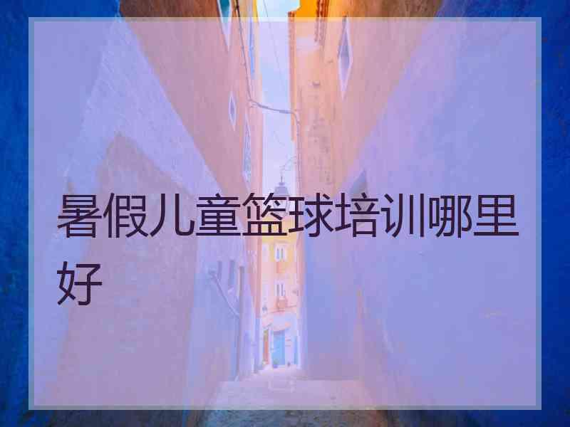 暑假儿童篮球培训哪里好 暑假儿童篮球培训哪里好