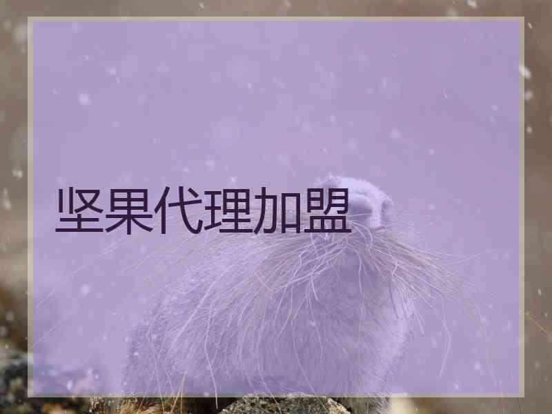 坚果代理加盟 坚果代理加盟