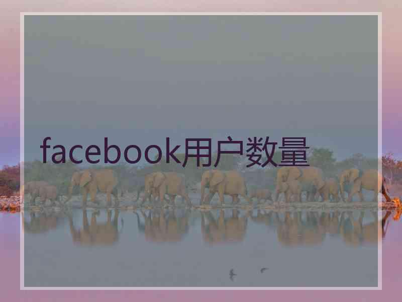 facebook用户数量 facebook用户数量