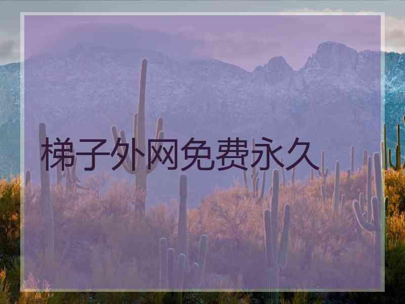 梯子外网免费永久 梯子外网免费永久