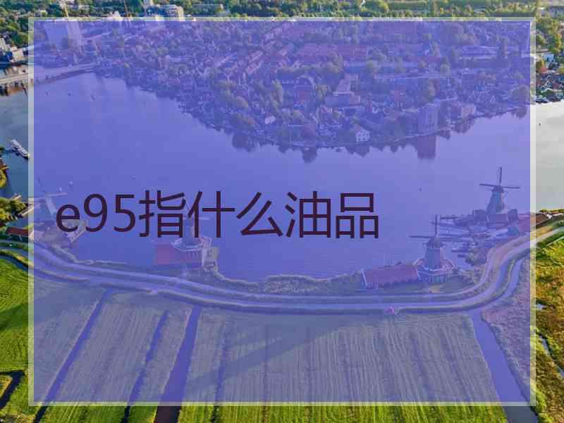 e95指什么油品 e95指什么油品