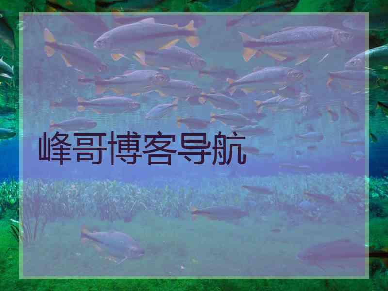 峰哥博客导航 峰哥博客导航