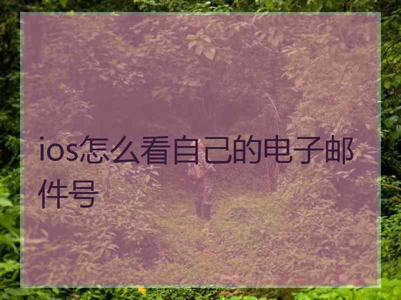 ios怎么看自己的电子邮件号 ios怎么看自己的电子邮件号