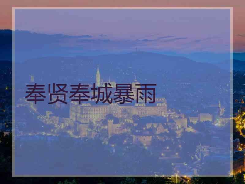 奉贤奉城暴雨 奉贤奉城暴雨