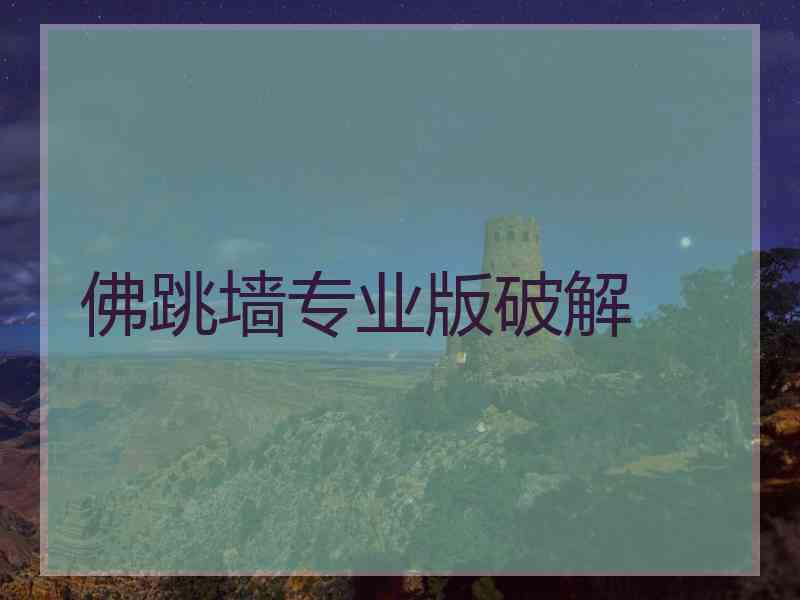 佛跳墙专业版破解 佛跳墙专业版破解