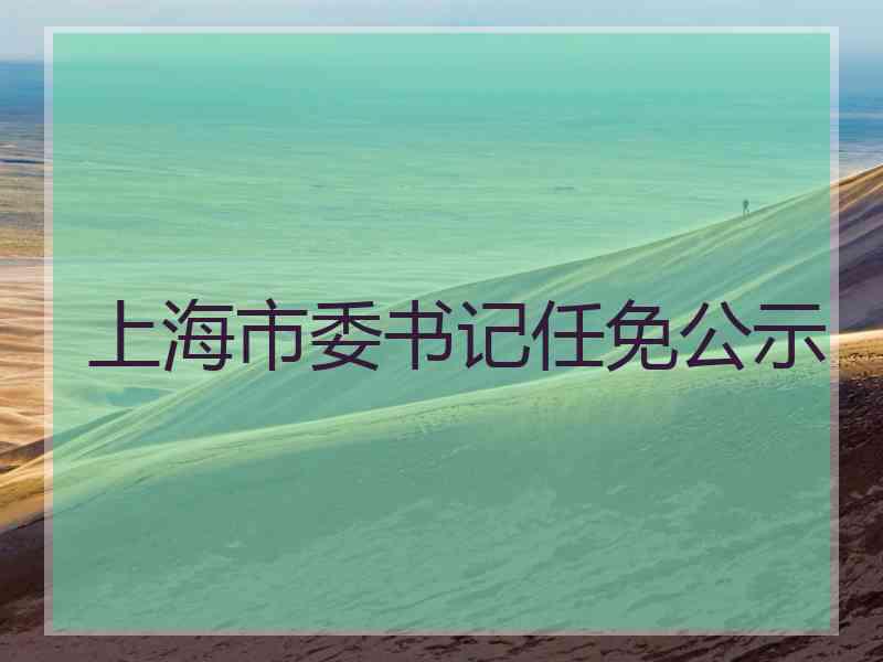 上海市委书记任免公示 上海市委书记任免公示