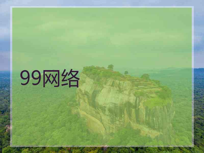 99网络 99网络