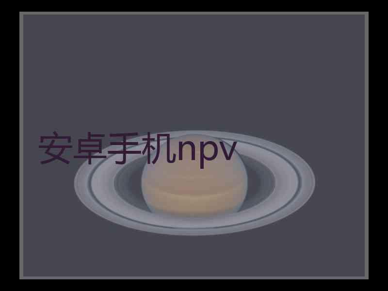 安卓手机npv 安卓手机npv
