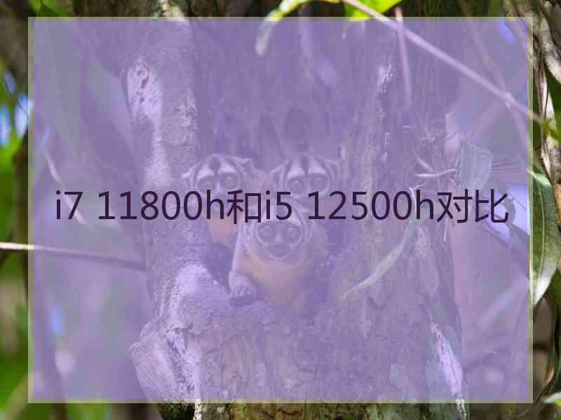 i7 11800h和i5 12500h对比 i7 11800h和i5 12500h对比