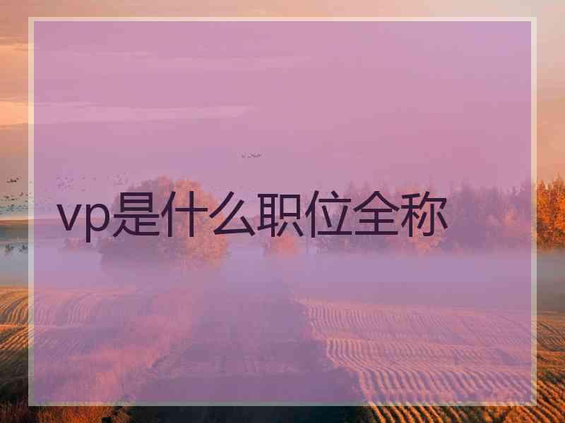 vp是什么职位全称 vp是什么职位全称