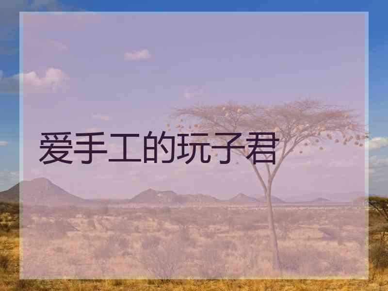 爱手工的玩子君 爱手工的玩子君