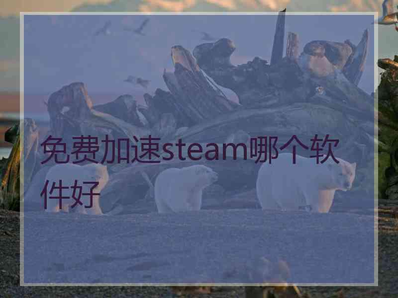 免费加速steam哪个软件好 免费加速steam哪个软件好