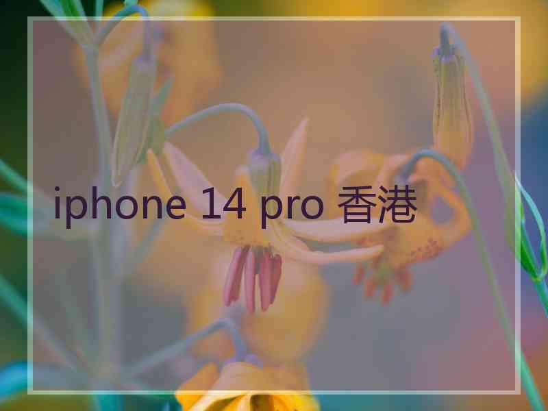 iphone 14 pro 香港 iphone 14 pro 香港