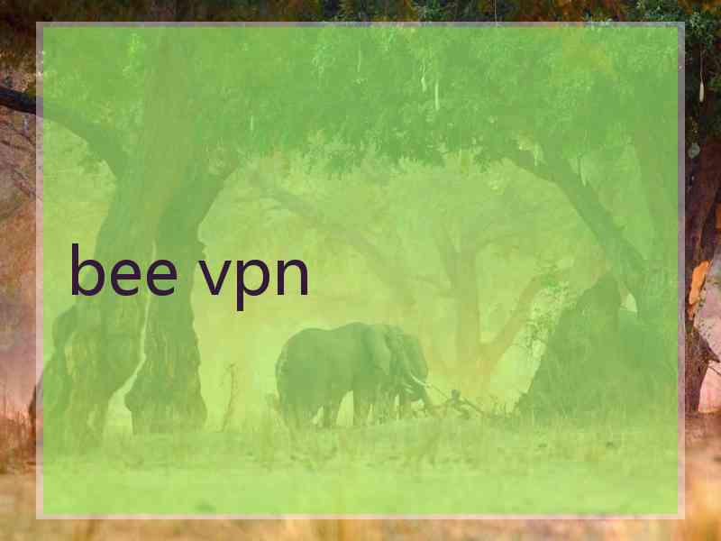 bee vpn bee vpn