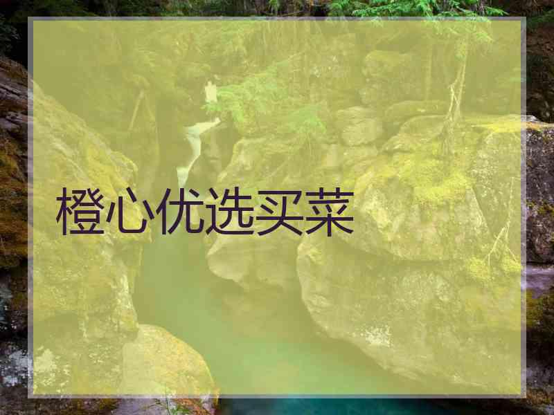 橙心优选买菜 橙心优选买菜