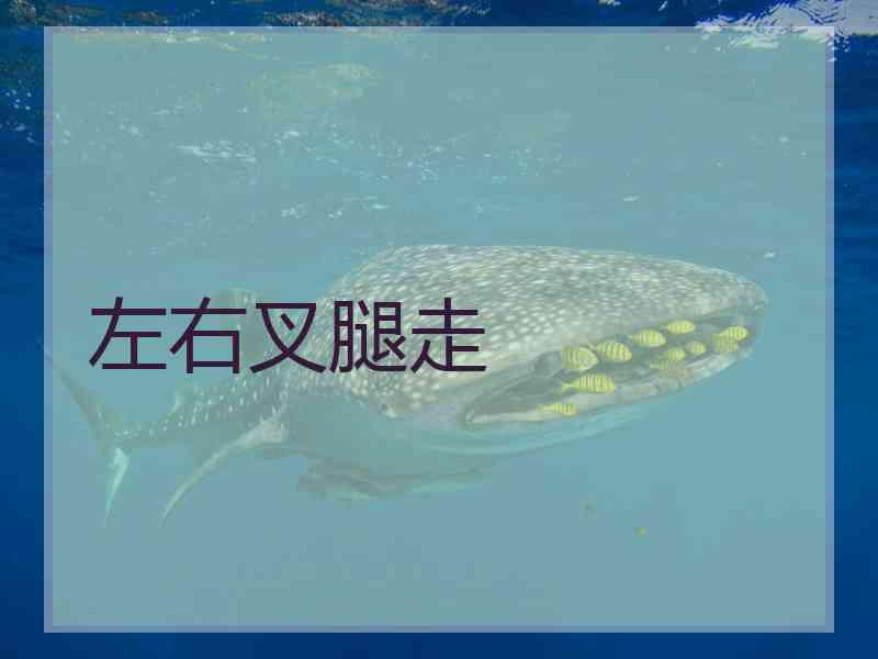 左右叉腿走 左右叉腿走