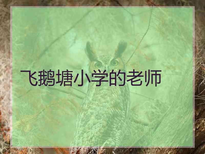 飞鹅塘小学的老师