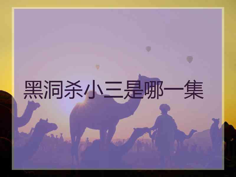 黑洞杀小三是哪一集