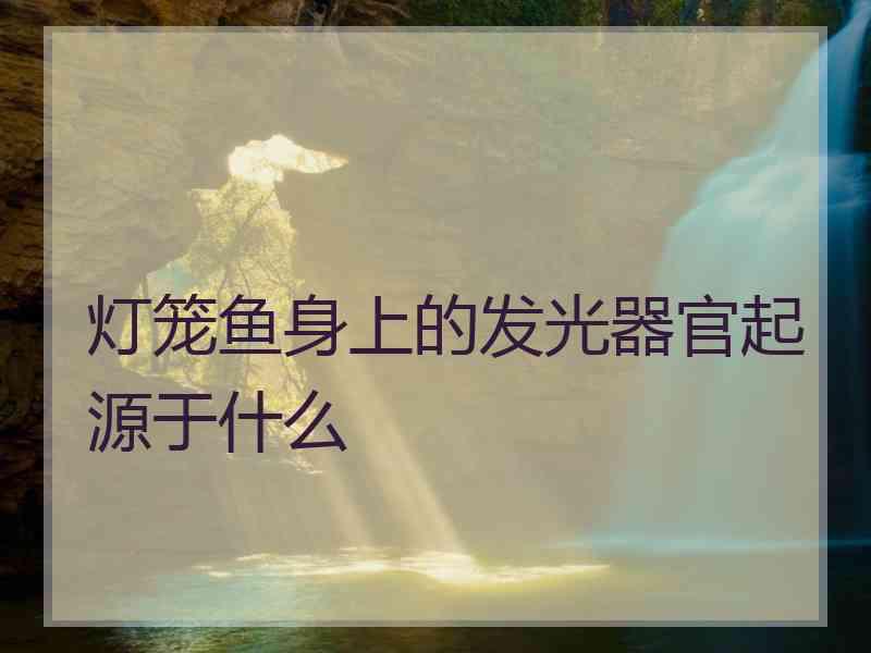 灯笼鱼身上的发光器官起源于什么