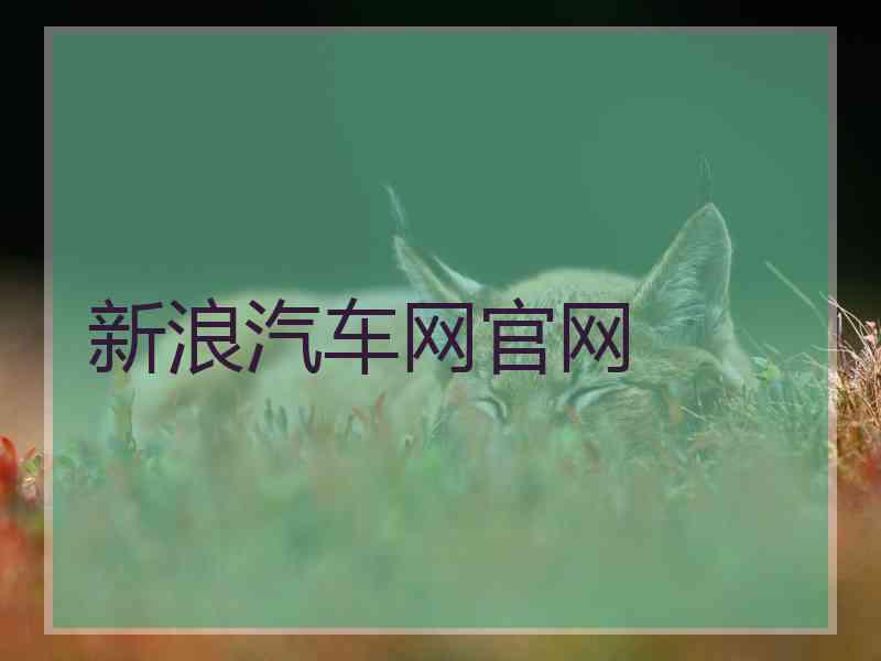 新浪汽车网官网