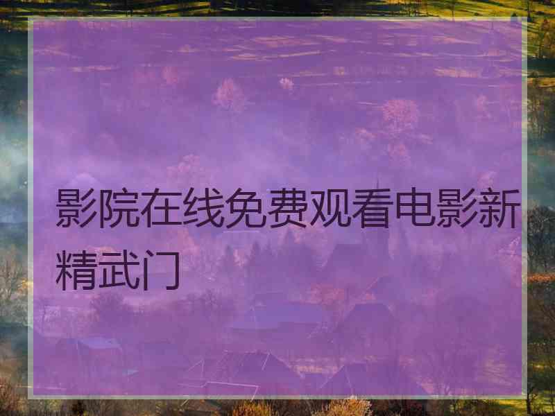 影院在线免费观看电影新精武门