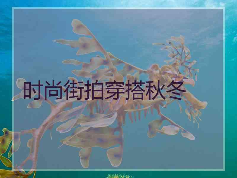 时尚街拍穿搭秋冬