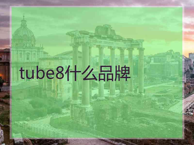 tube8什么品牌