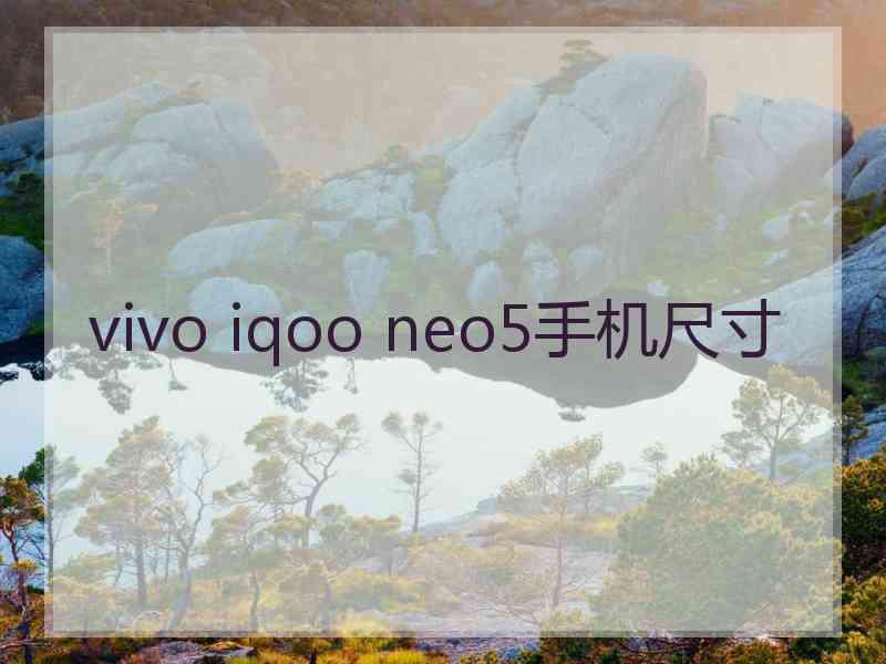 vivo iqoo neo5手机尺寸