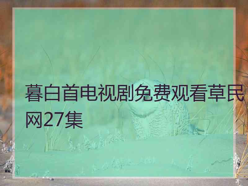 暮白首电视剧免费观看草民网27集