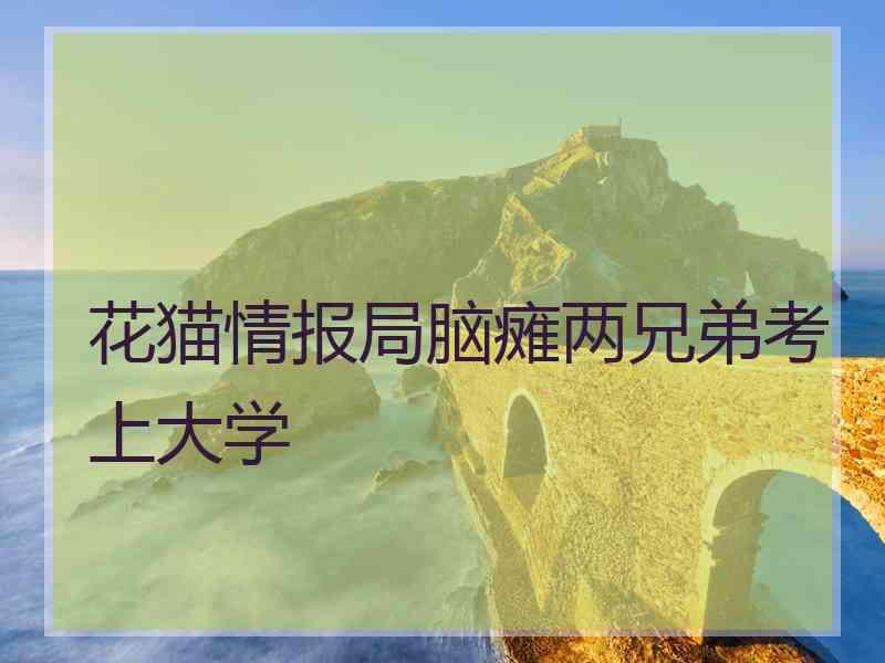 花猫情报局脑瘫两兄弟考上大学