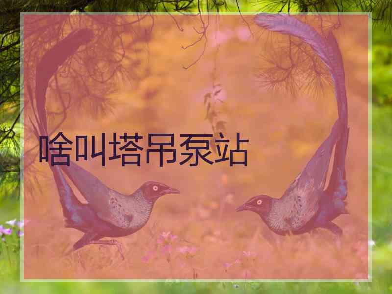 啥叫塔吊泵站