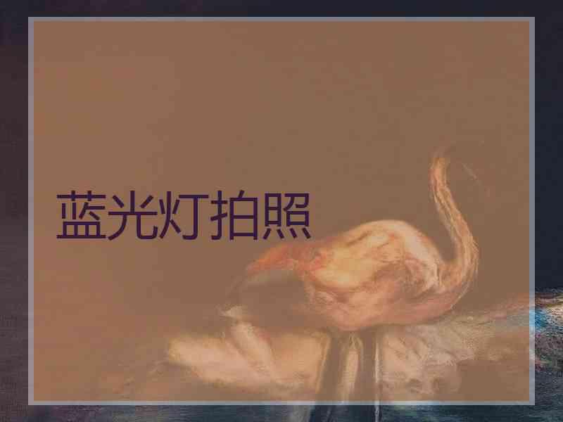 蓝光灯拍照
