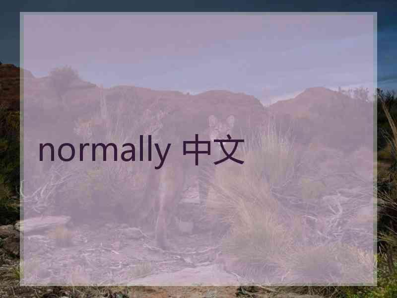 normally 中文