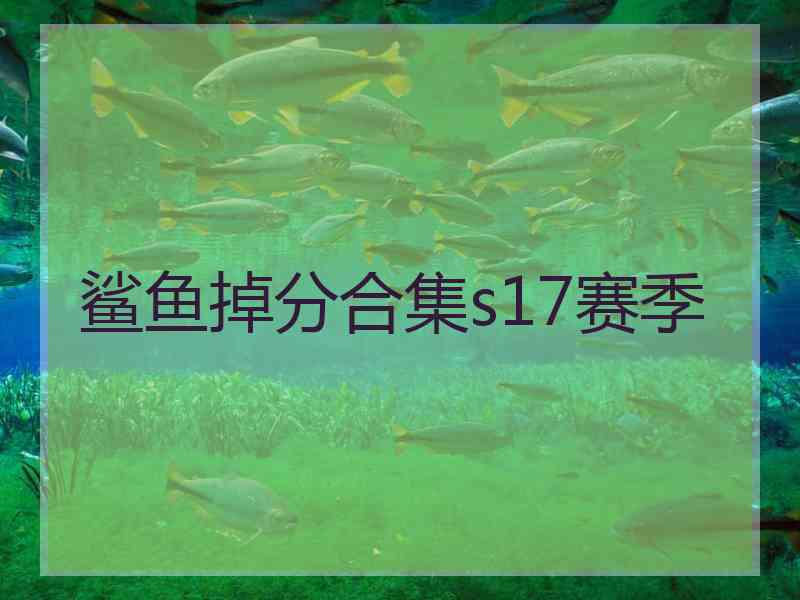 鲨鱼掉分合集s17赛季
