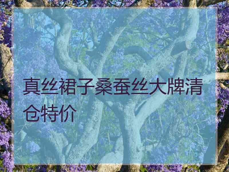 真丝裙子桑蚕丝大牌清仓特价